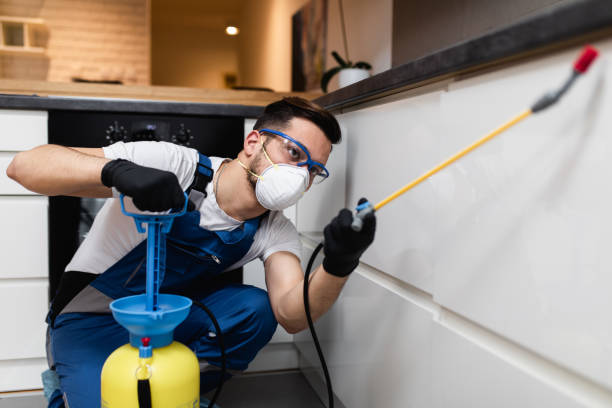 Best Pest Control Treatment  in Elkton, VA