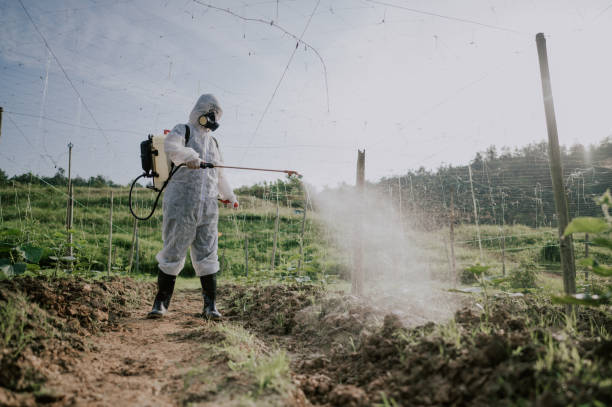 Best Pest Prevention Services  in Elkton, VA