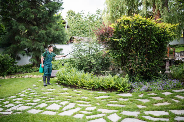 Best Pest Inspection Near Me  in Elkton, VA