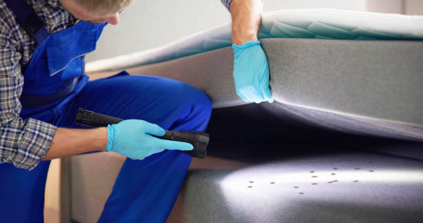 Best Bed Bug Extermination  in Elkton, VA