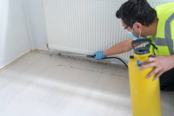 Best Bed Bug Extermination  in Elkton, VA
