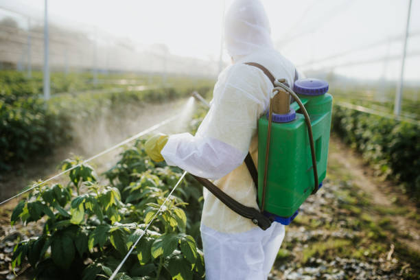  Elkton, VA Pest Control Pros